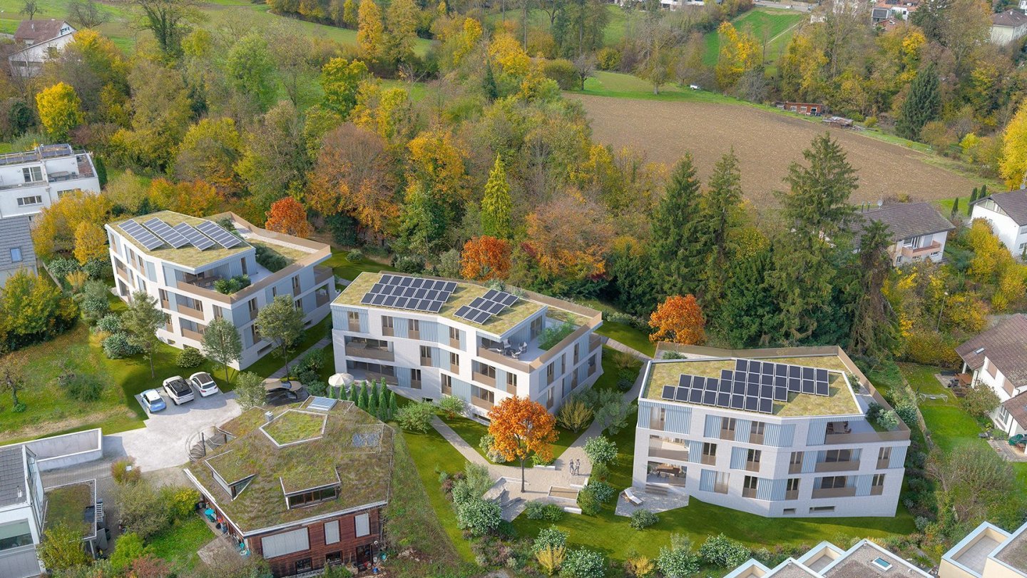 569 NWA Neuweilerstrasse Allschwil Vogelperspektive 1 260509 1s