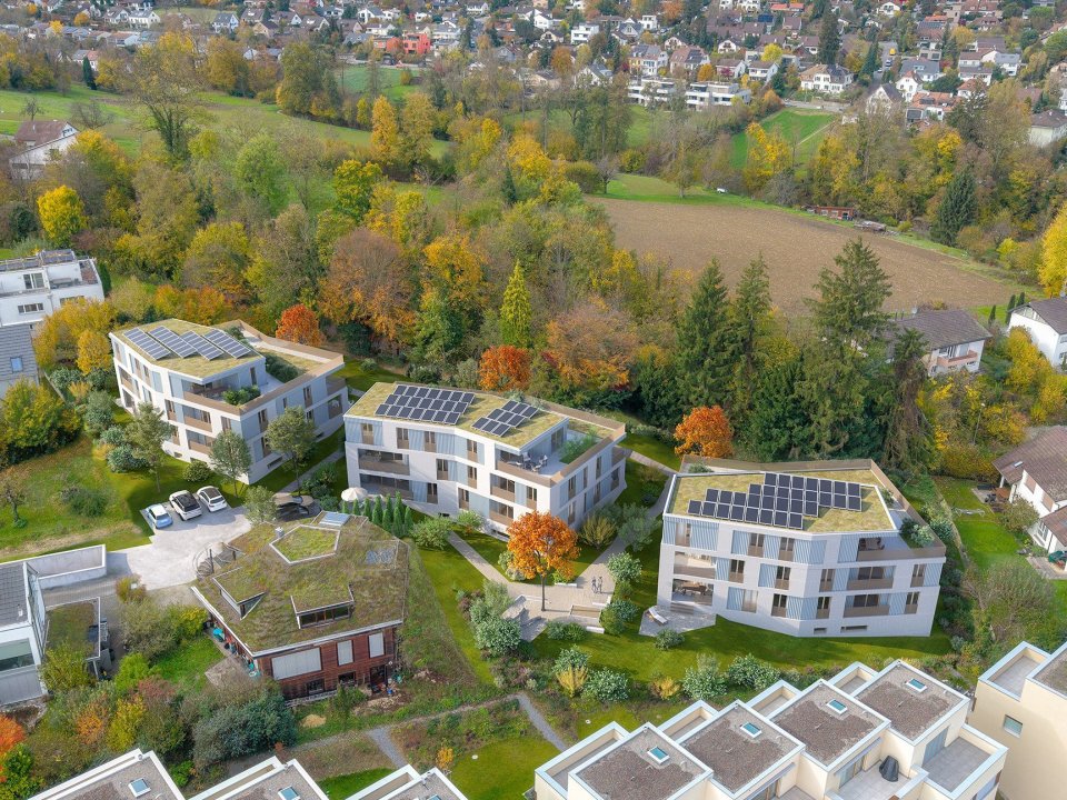 569 NWA Neuweilerstrasse Allschwil Vogelperspektive 1 260509 1s